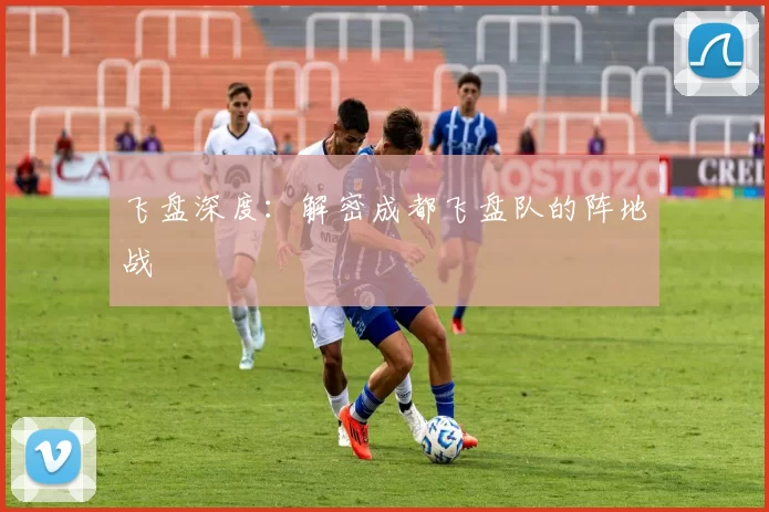 飞盘深度：解密成都飞盘队的阵地战