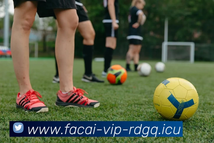 MK体育注册平台生态图