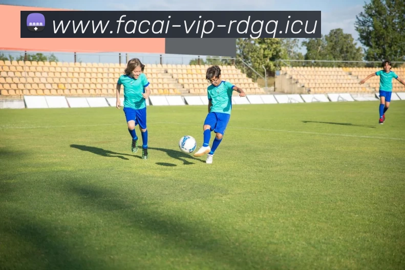 MK体育注册APP 封面图